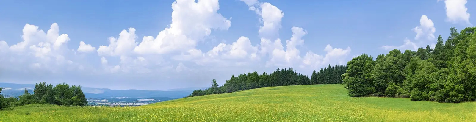 Landschaft mit einer satt grünen Wiese, Bäumen und einem bewölkten, blauen Himmel. Im Hintergrund sind die Berge eines Gebirges zu sehen.